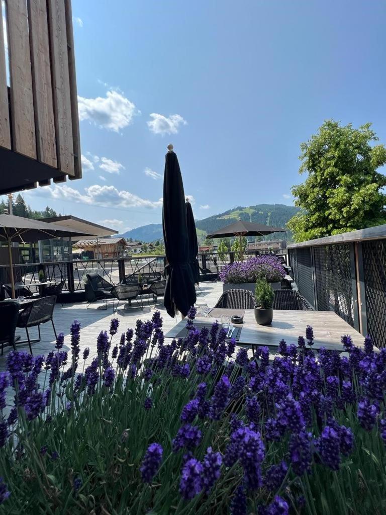 Almmonte Praeclarum Suites Design Hotel Wagrain Εξωτερικό φωτογραφία